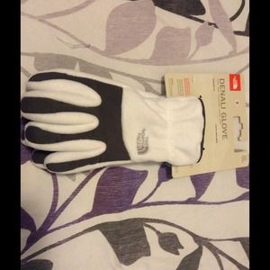 The North Face winter Denali gloves