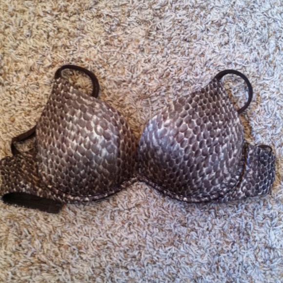 Blue and brown bra bundle