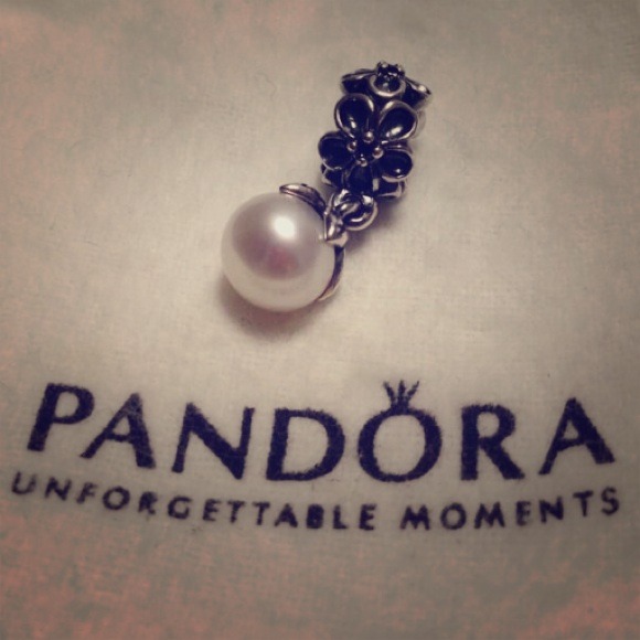 ❌Sold❌Pandora Garden Odyssey Dangle Charm