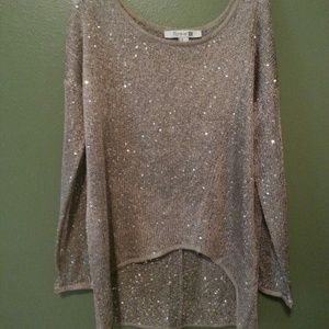 Shimmery sweater or long sleeve shirt