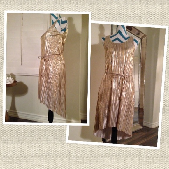 πHost PickπH&M Metallic Gold Pleated Party Dress - Picture 3 of 4