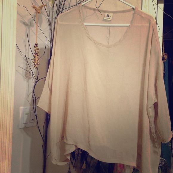 Sheer Blouse
