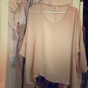 Sheer Blouse