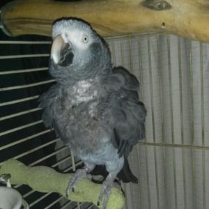 Noah wants a SALE!!!