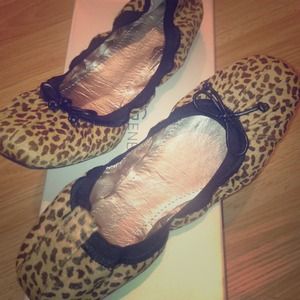Cheetah flats
