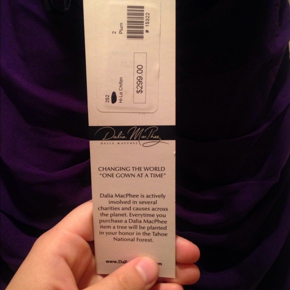 Designer gown - Picture 4 of 4