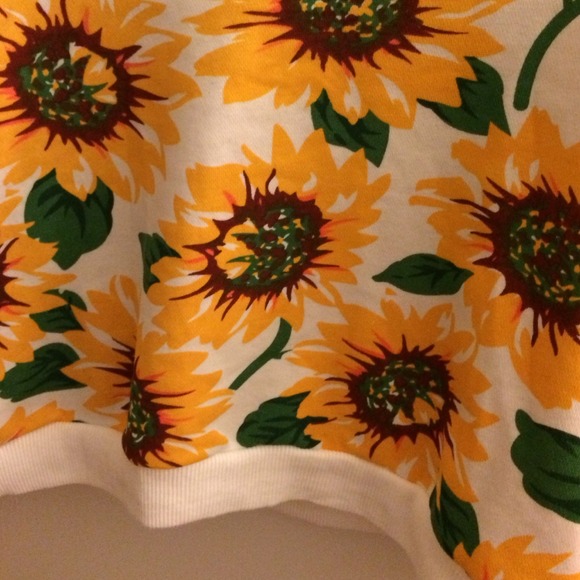 Long sleeve crop top. (No trades just yet) - Picture 2 of 2