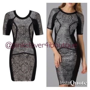 Classy chic sexy curvy