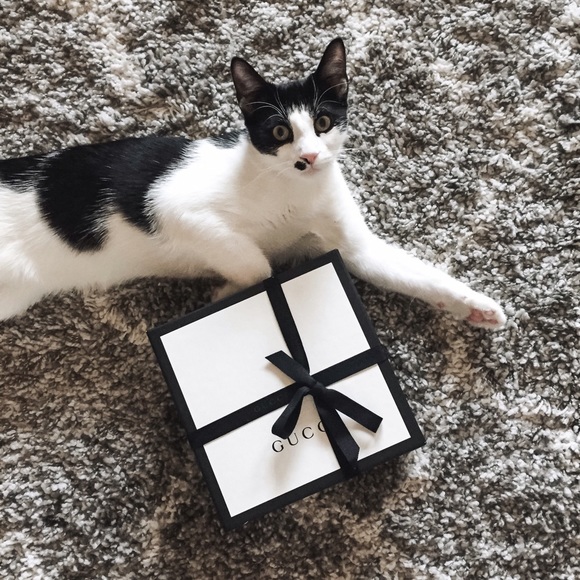 Instagram: @ morganschadegg - Picture 4 of 5