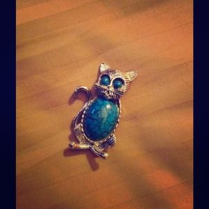 Kitty cat pin & Neclace charm