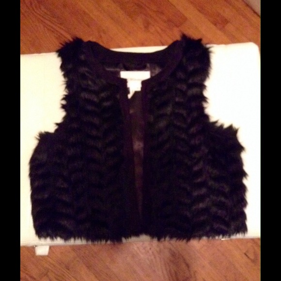 Fur vest‼️‼️‼️‼️‼️ - Picture 2 of 4