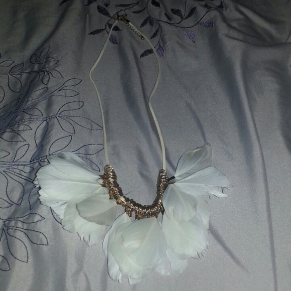Feather necklace