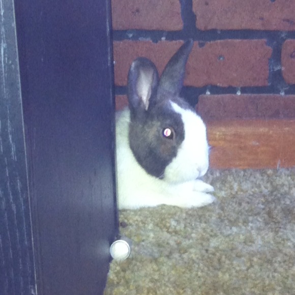 Bun buns <3 my baby boy