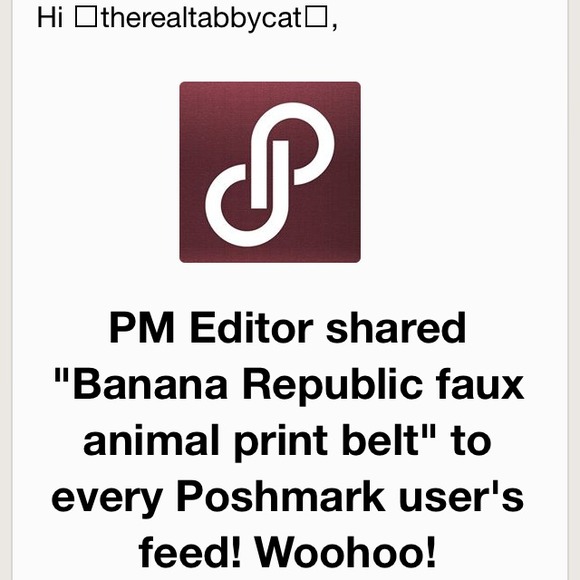 ❌BUNDLED❌ Banana Republic belt