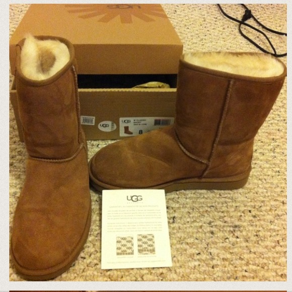 Authentic chestnut Classic short Uggs.
