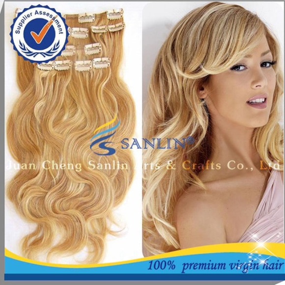 Custom clip in human hair extensions - Picture 1 of 2