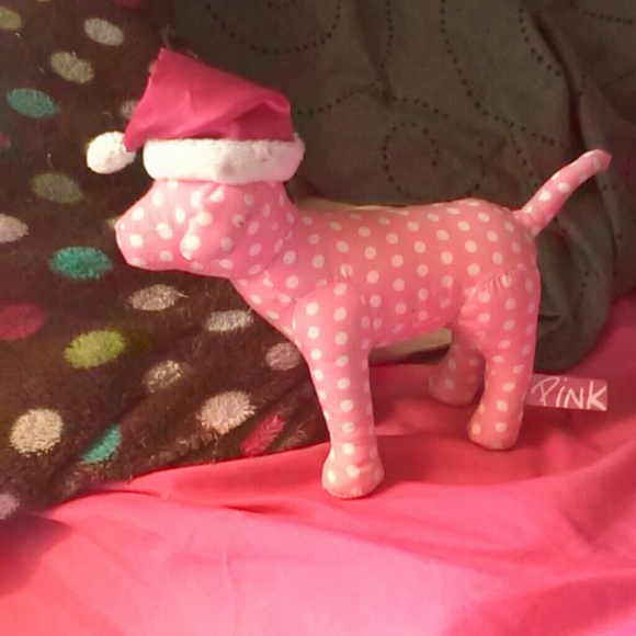 A dog