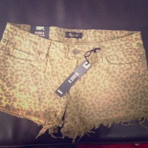 brand new stylish shorts