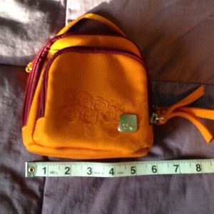 Amazing clutch/mini bag. Haiku! SALE TONITE!