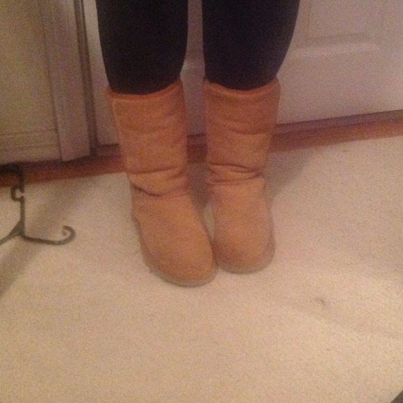 Chestnut uggs