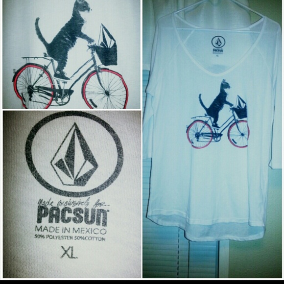 SOLD ON EBAY:) Cat Riding Bicycle