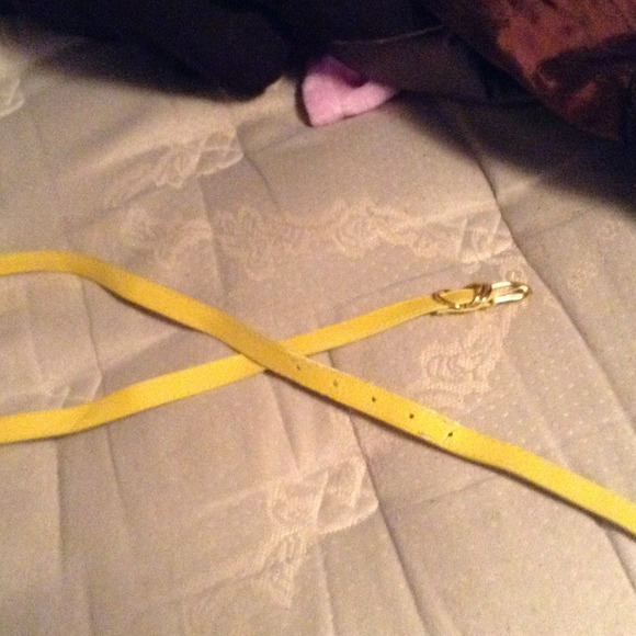 Belt - Picture 2 of 2