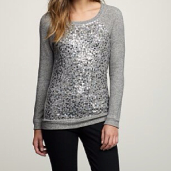 Express glitter sweater