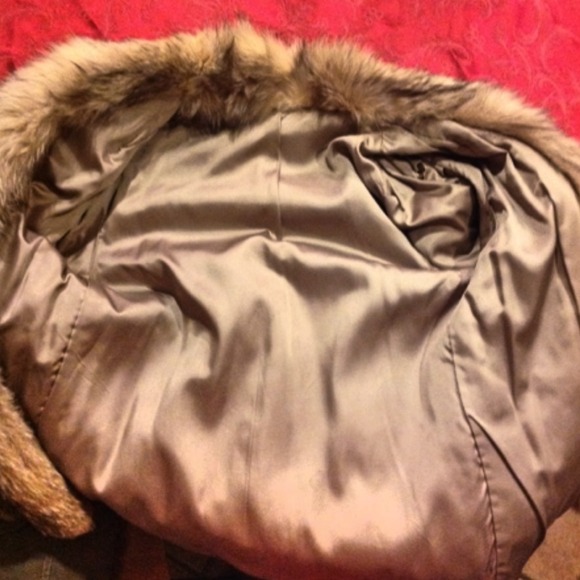 Picture of inside of fox coat