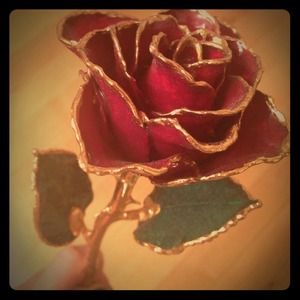 ❤️Gold dipped long stem rose