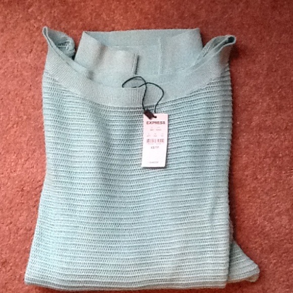 Mint Express sweater