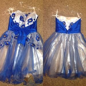 Cinderella divine prom dress