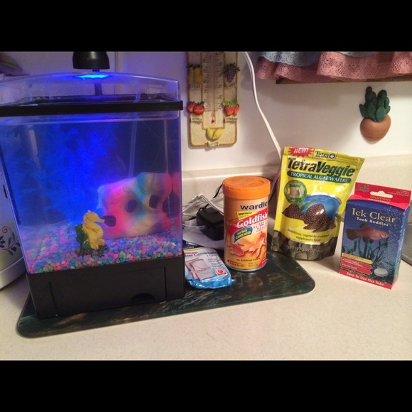 Glo fish tank with accesories
