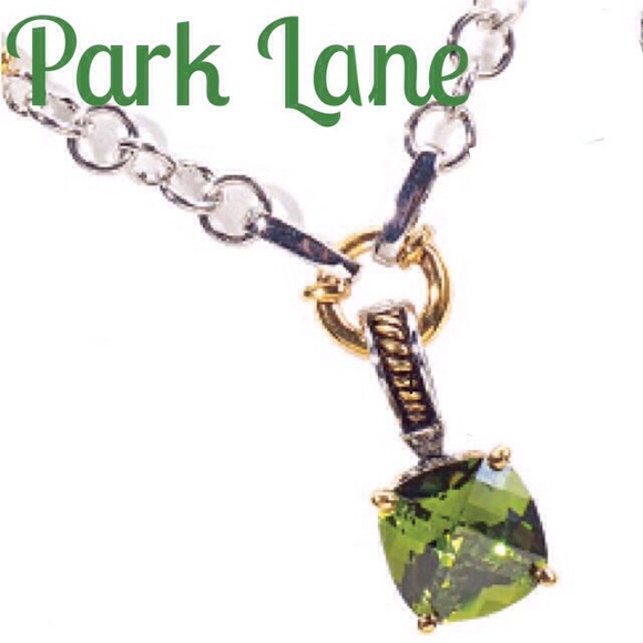 ⬇️1/19 NWT Park Lane Olivine Green Necklace