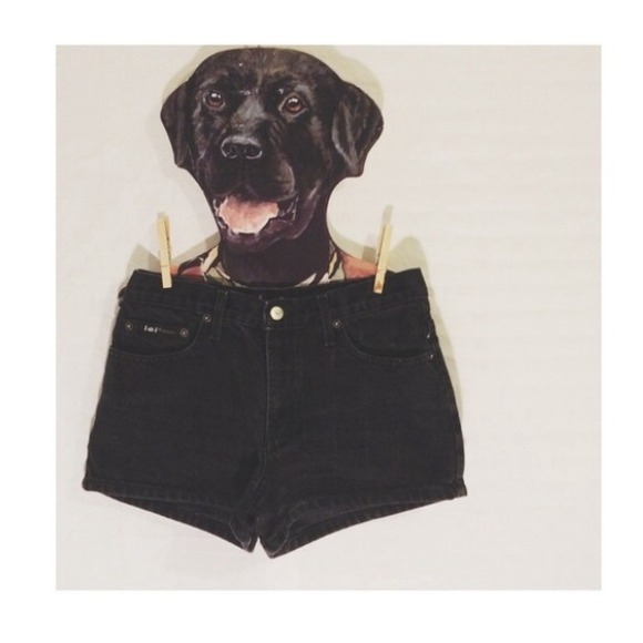 🏡🔻SALE🔻High wasted shorts!