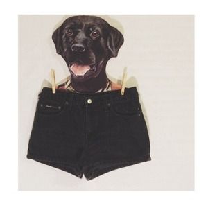 🏡🔻SALE🔻High wasted shorts!