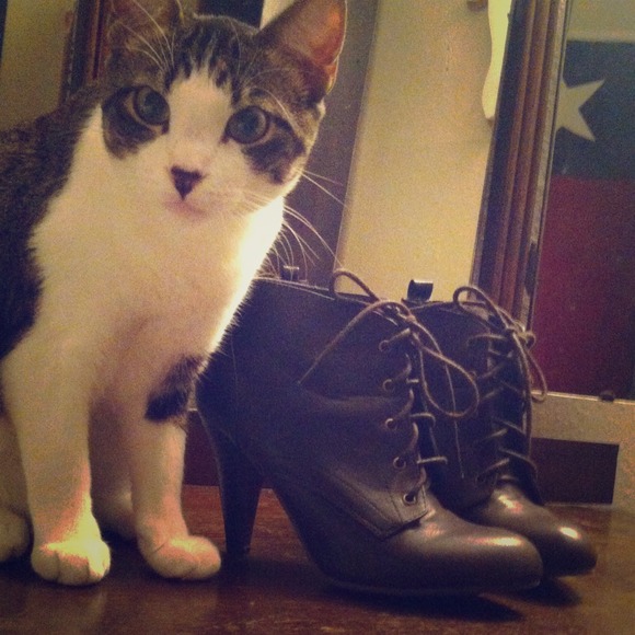 Ankle Oxford Boot size 7