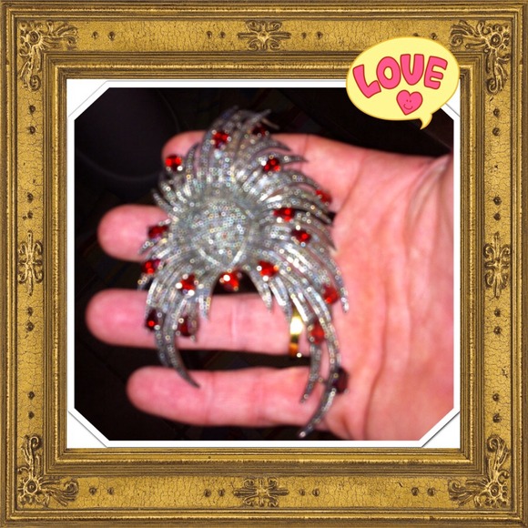 ON HOLD!! Amazing broach