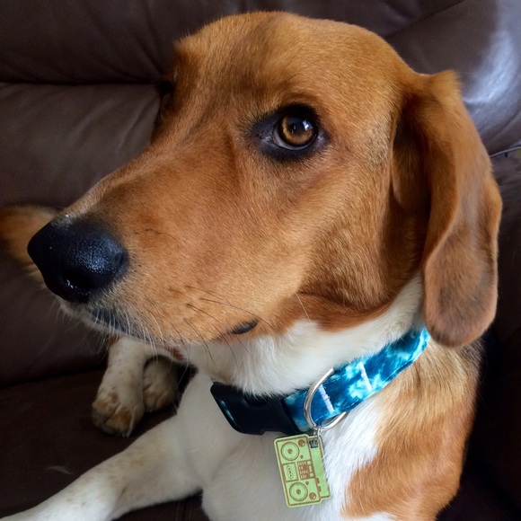 Welcome to my closet! ☕️🌻 - Picture 4 of 4