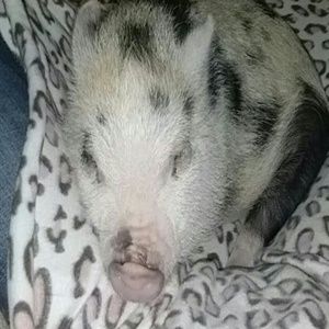 *BIG NAME BRAND SALE!!*