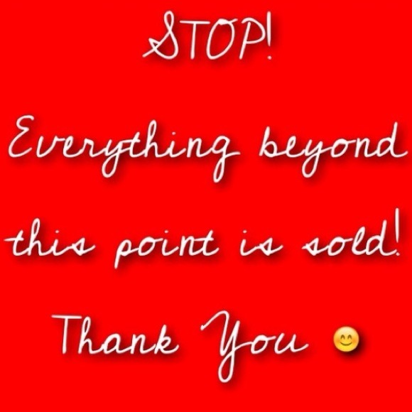❌Everything past this point is sold❌