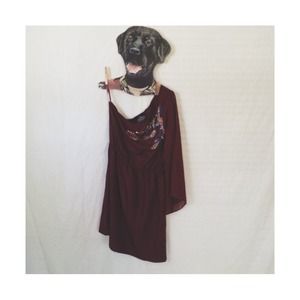 Charming Charlie's dress!