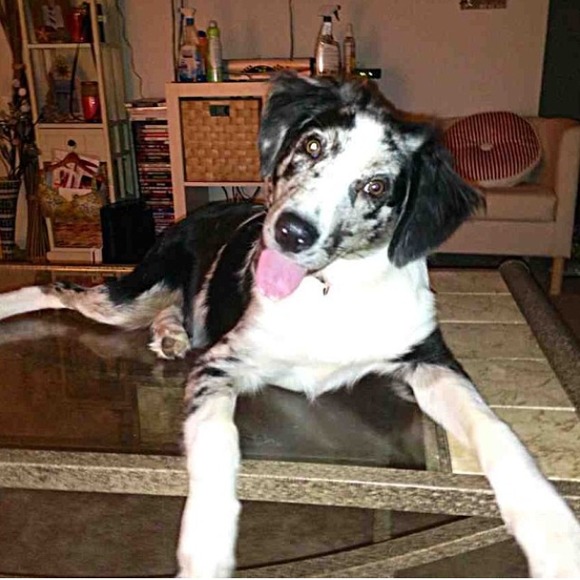 Meet your seller/buyer!! πππ - Picture 2 of 4