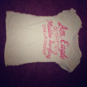 Multi colored American eagle