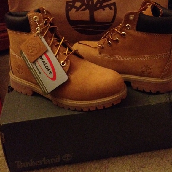 Timberland 6in Prem Wheat/  junior's