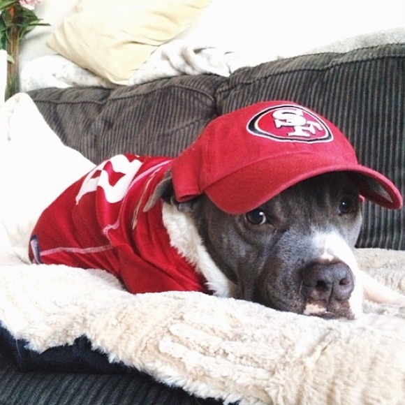 Sale/Fundraiser for Buster :) - Picture 3 of 4