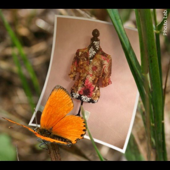 Cache sheer floral top🌺