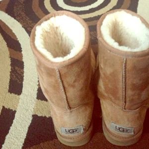 CHESTNUT UGGS
