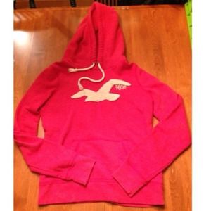 Hollister hoodie