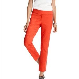 REDUCED 🎉 BNWT LOFT Petite Marisa Pants
