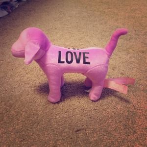 Purple "LOVE PINK" VS Dog